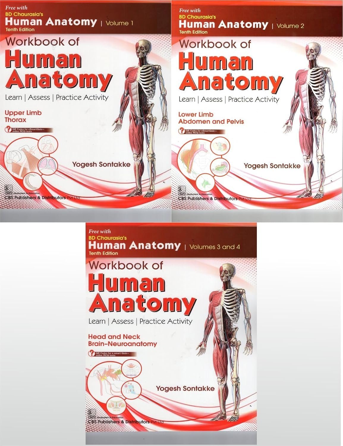 bd chaurasias human anatomy 9ed 4 vol set (pb 2025) bd chaurasias human anatomy 9ed 4 vol set (pb 2025)